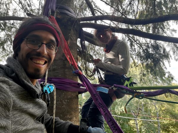 Neue permanente Highlines im Stadtwald Marburg – Ein Meilenstein für die Szene